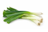 Spring Onion Bunch